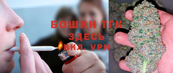 дживик Липки