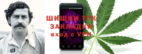 дживик Липки
