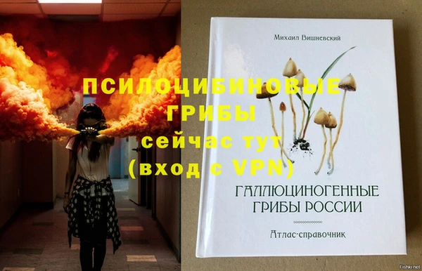 дживик Липки