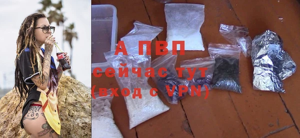 мдпв Магас