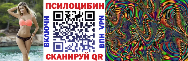 купить закладку  Никольское  Галлюциногенные грибы Cubensis 